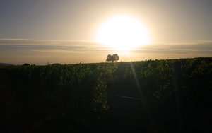 呼和浩特市洗護(hù)用品有限責(zé)任公司