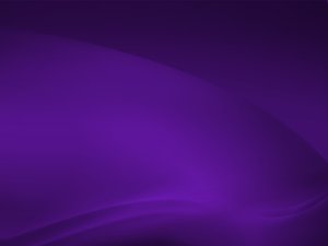 扎賚特旗童車童床有限責任公司